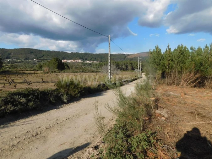 Quinta T0 para Venda em Vale de Prazeres e Mata da Rainha Foto 5