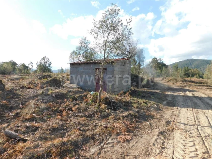 Quinta T0 para Venda em Vale de Prazeres e Mata da Rainha Foto 9