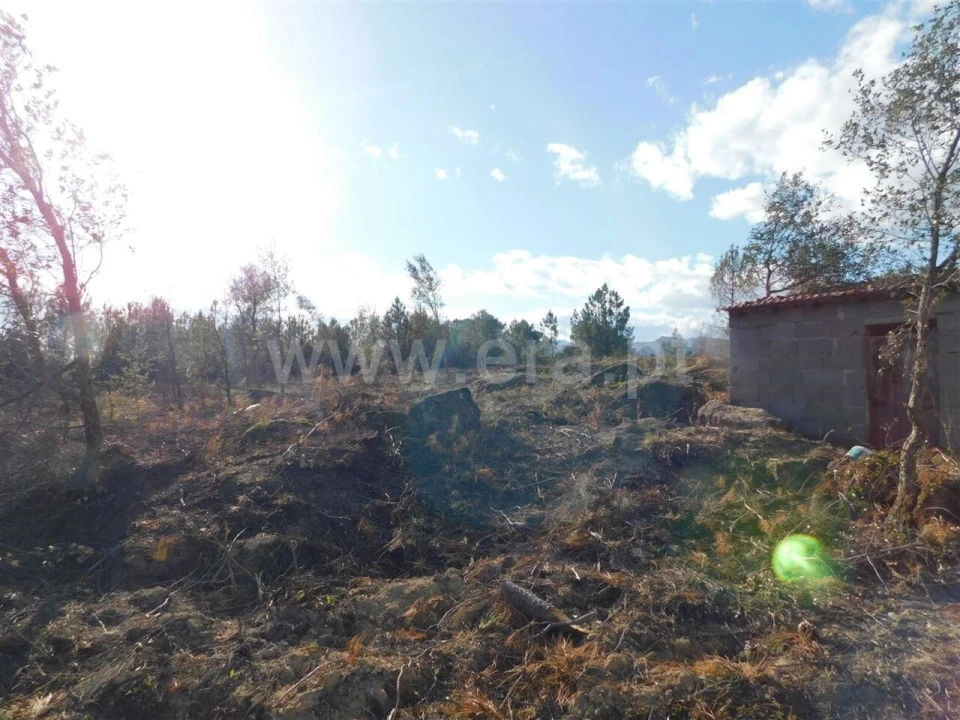 Quinta T0 para Venda em Vale de Prazeres e Mata da Rainha Foto 10