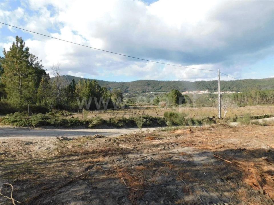 Quinta T0 para Venda em Vale de Prazeres e Mata da Rainha Foto 12