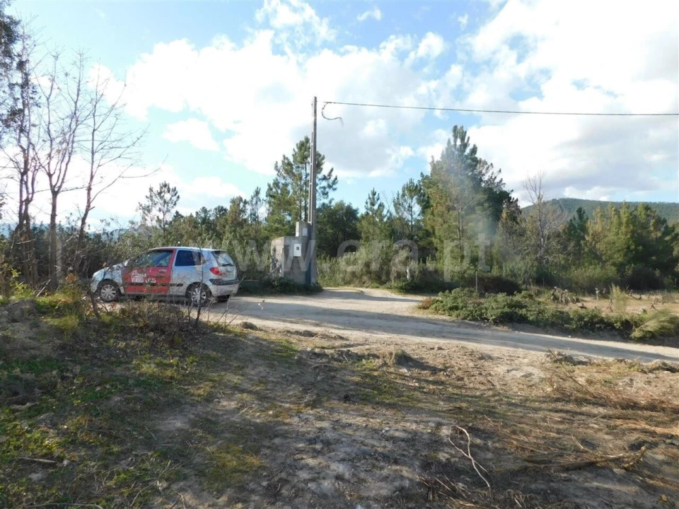 Quinta T0 para Venda em Vale de Prazeres e Mata da Rainha Foto 11