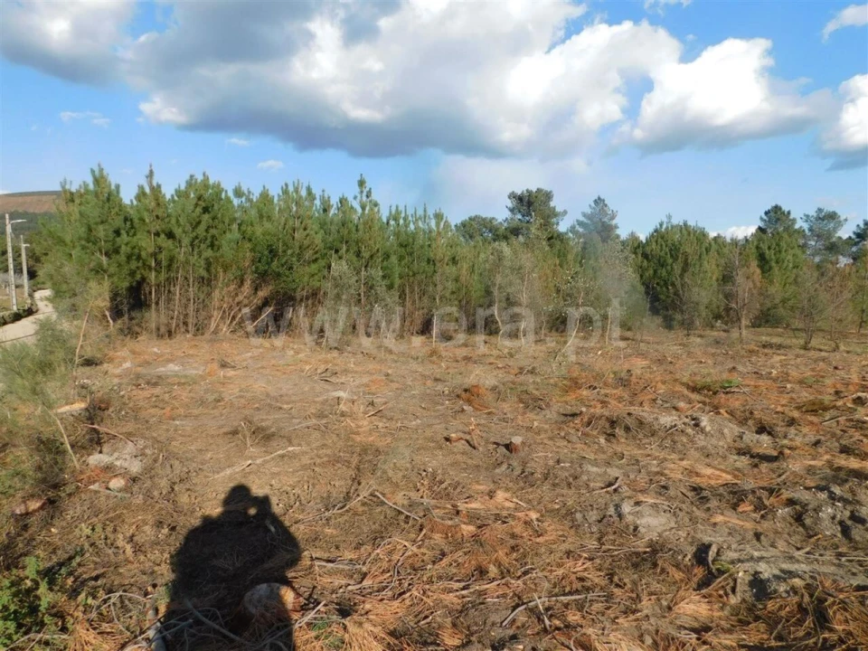 Quinta T0 para Venda em Vale de Prazeres e Mata da Rainha Foto 4