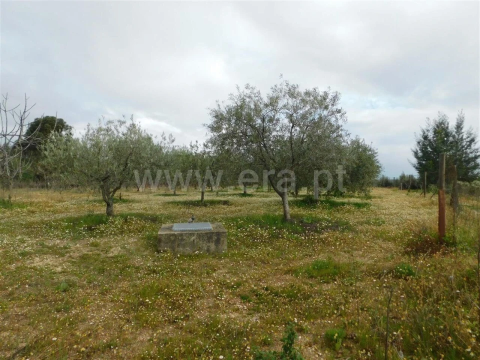 Terreno para Venda em Póvoa de Atalaia e Atalaia do Campo Foto 11