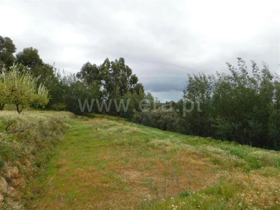 Terreno para Venda em Póvoa de Atalaia e Atalaia do Campo Foto 9