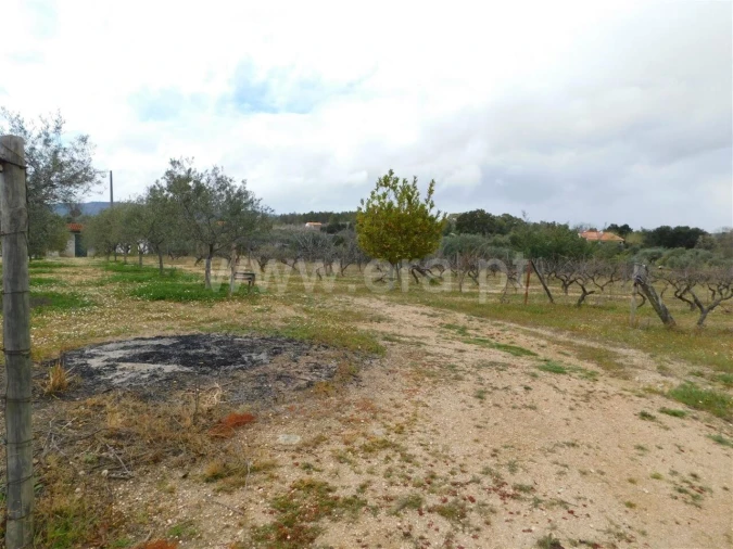 Terreno para Venda em Póvoa de Atalaia e Atalaia do Campo Foto 3
