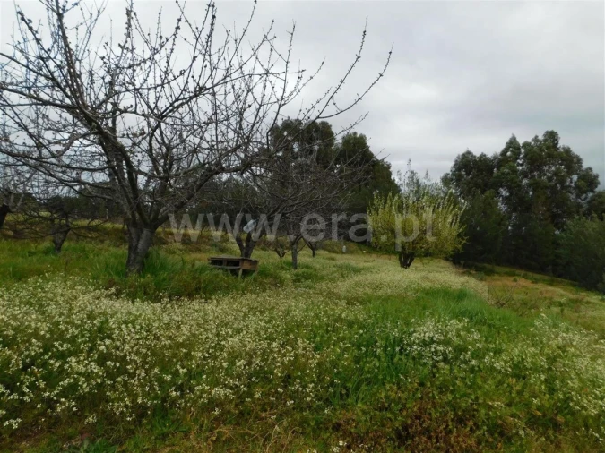 Terreno para Venda em Póvoa de Atalaia e Atalaia do Campo Foto 8