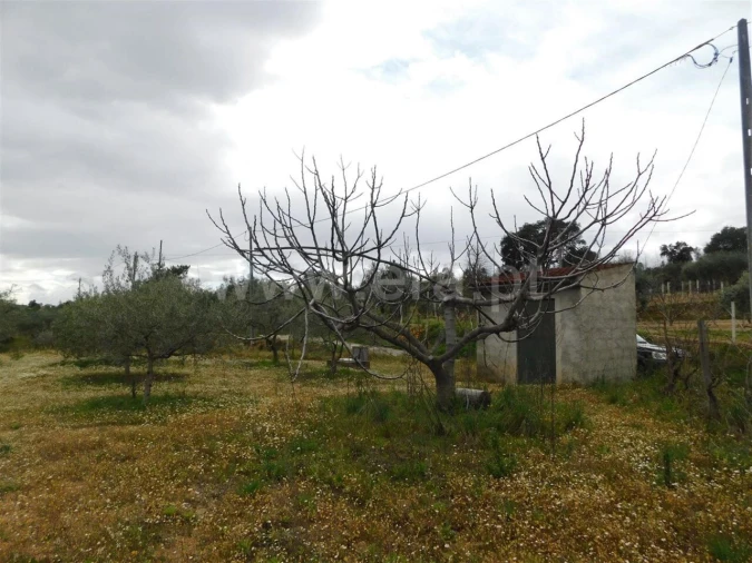 Terreno para Venda em Póvoa de Atalaia e Atalaia do Campo Foto 7