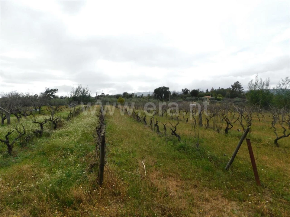 Terreno para Venda em Póvoa de Atalaia e Atalaia do Campo Foto 10
