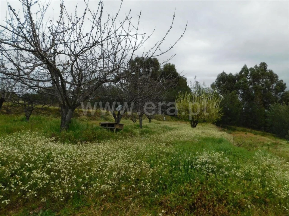 Terreno para Venda em Póvoa de Atalaia e Atalaia do Campo Foto 8
