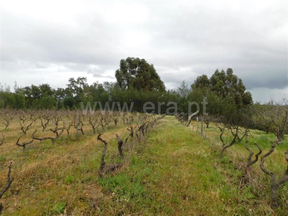Terreno para Venda em Póvoa de Atalaia e Atalaia do Campo Foto 2