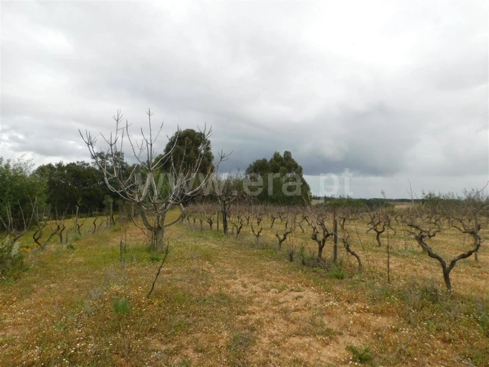 Terreno para Venda em Póvoa de Atalaia e Atalaia do Campo Foto 6