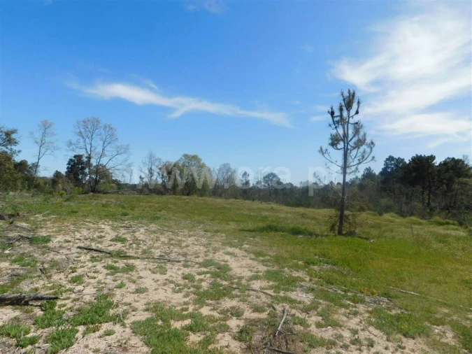 Terreno para Venda em Póvoa de Atalaia e Atalaia do Campo Foto 7
