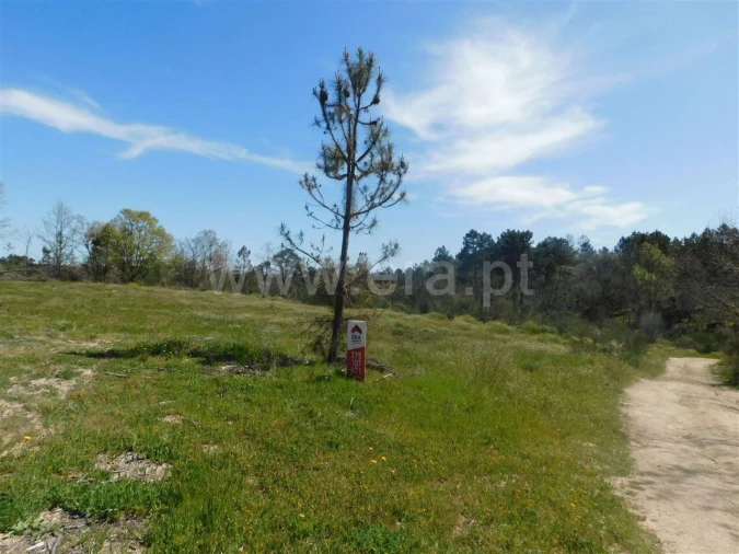 Terreno para Venda em Póvoa de Atalaia e Atalaia do Campo Foto 11