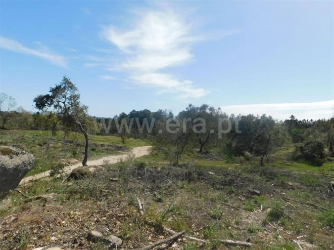 Terreno para Venda em Póvoa de Atalaia e Atalaia do Campo Foto 6