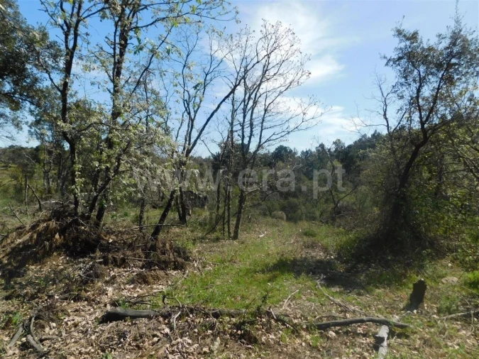 Terreno para Venda em Póvoa de Atalaia e Atalaia do Campo Foto 8
