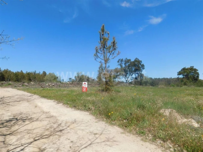 Terreno para Venda em Póvoa de Atalaia e Atalaia do Campo Foto 14