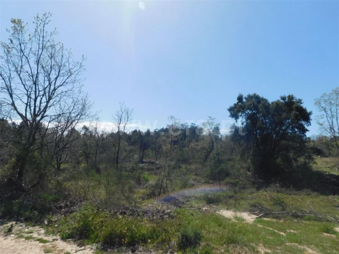 Terreno para Venda em Póvoa de Atalaia e Atalaia do Campo Foto 12