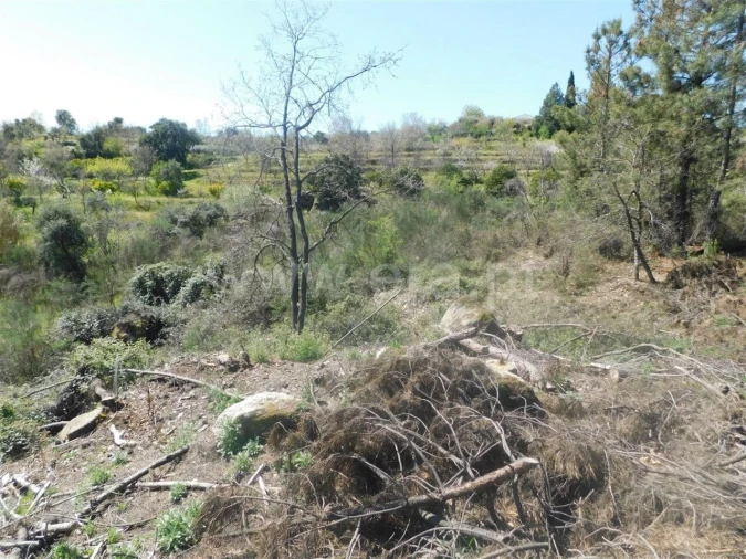 Terreno para Venda em Póvoa de Atalaia e Atalaia do Campo Foto 4