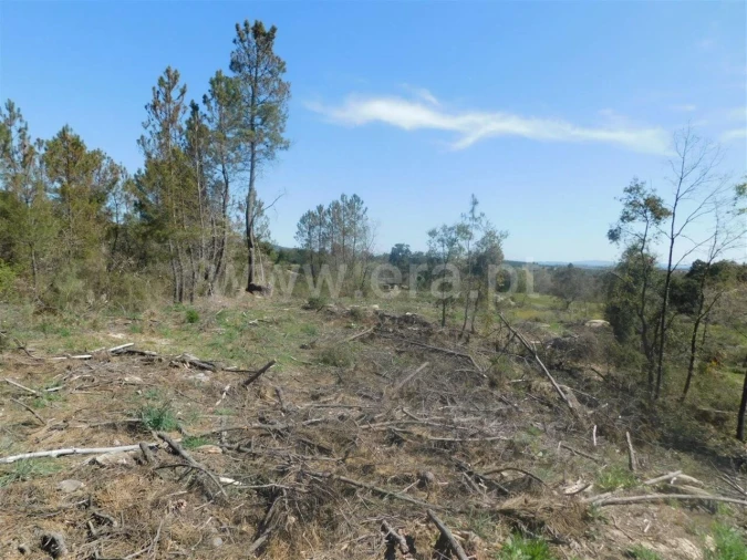 Terreno para Venda em Póvoa de Atalaia e Atalaia do Campo Foto 5