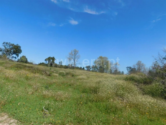 Terreno para Venda em Póvoa de Atalaia e Atalaia do Campo Foto 13