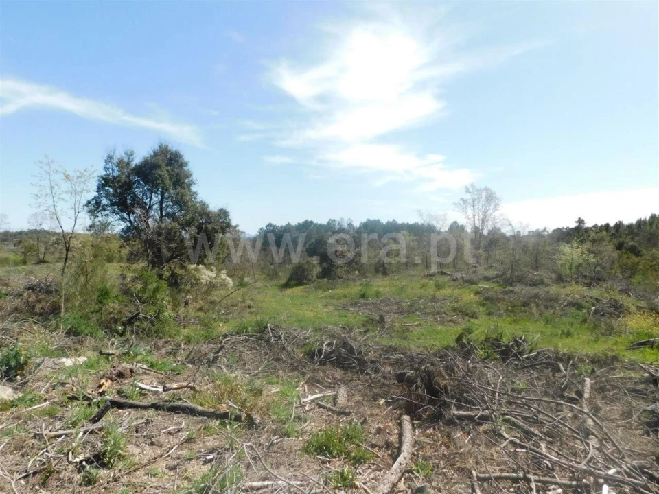 Terreno para Venda em Póvoa de Atalaia e Atalaia do Campo Foto 3