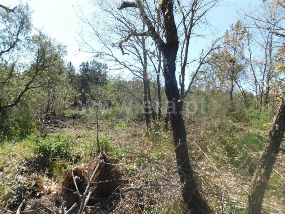 Terreno para Venda em Póvoa de Atalaia e Atalaia do Campo Foto 9
