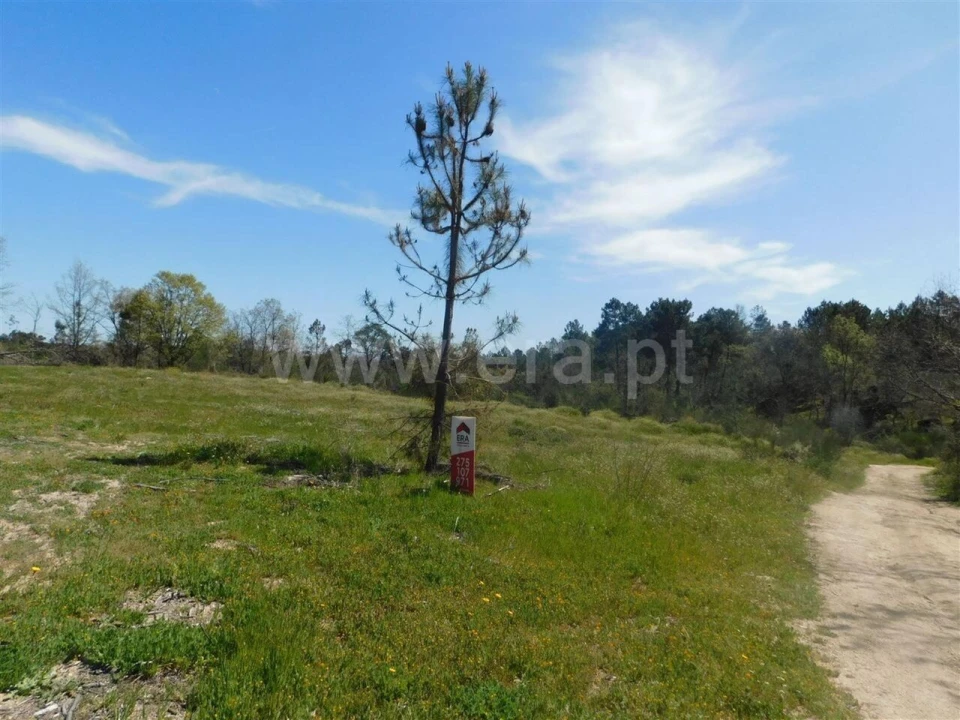 Terreno para Venda em Póvoa de Atalaia e Atalaia do Campo Foto 11