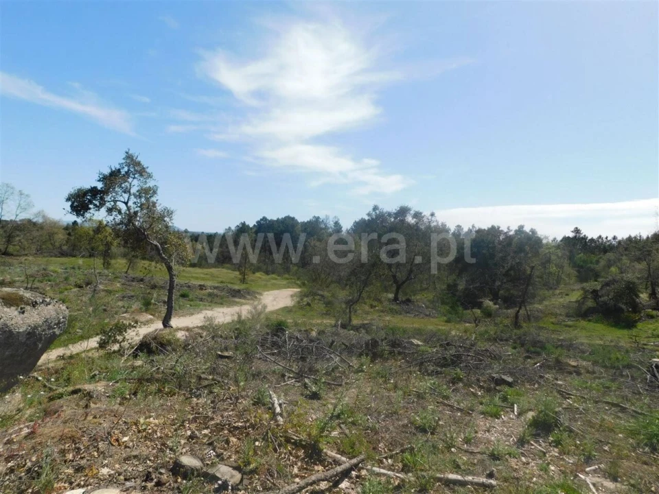 Terreno para Venda em Póvoa de Atalaia e Atalaia do Campo Foto 6