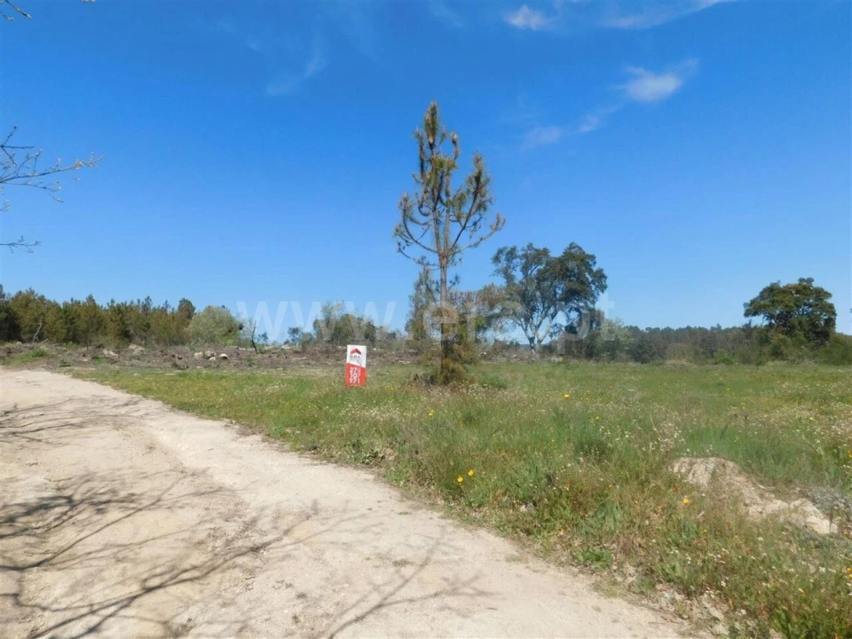 Terreno para Venda em Póvoa de Atalaia e Atalaia do Campo Foto 14