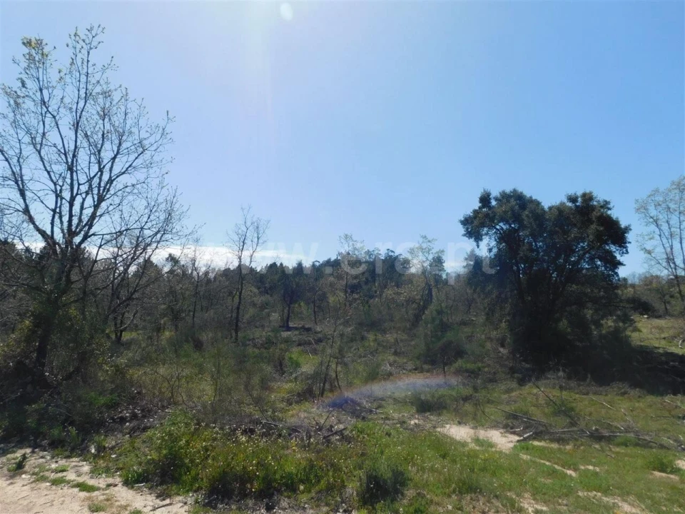 Terreno para Venda em Póvoa de Atalaia e Atalaia do Campo Foto 12