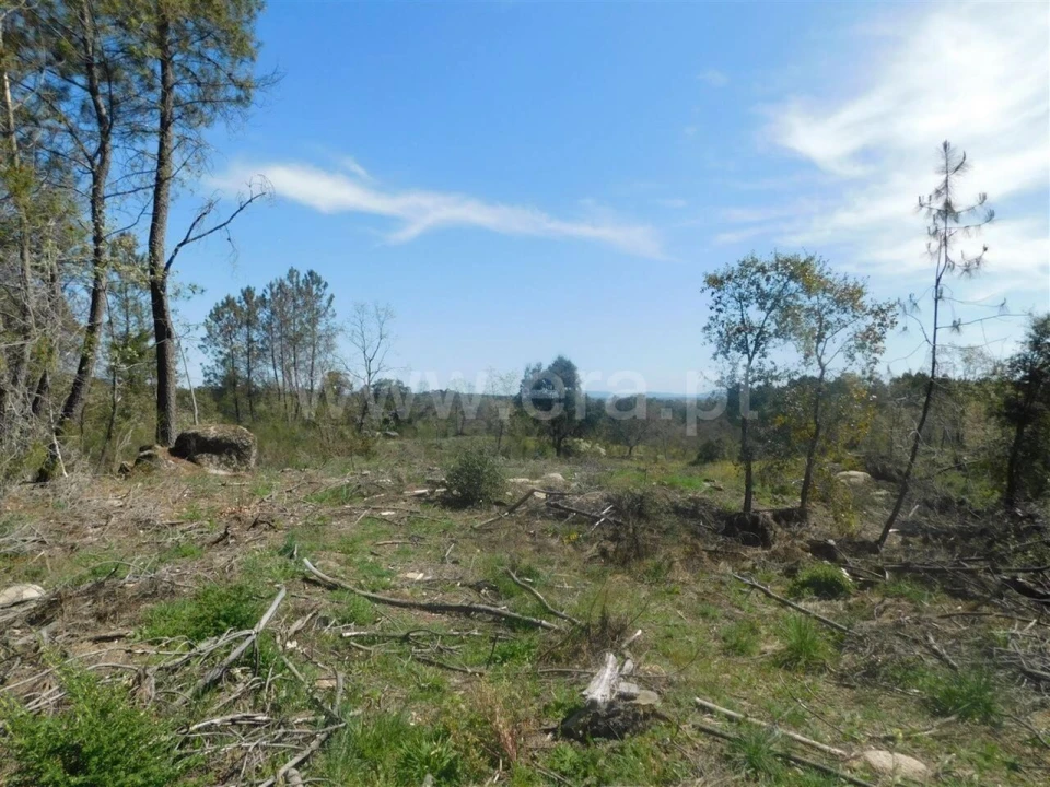 Terreno para Venda em Póvoa de Atalaia e Atalaia do Campo Foto 2