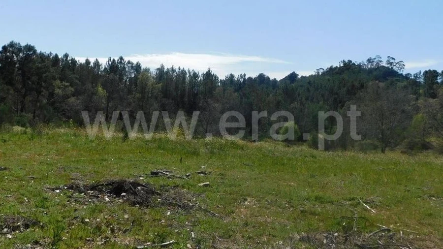 Terreno para Venda em Póvoa de Atalaia e Atalaia do Campo