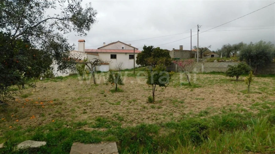 Quinta T4 para Venda em Vale de Prazeres e Mata da Rainha Foto 2