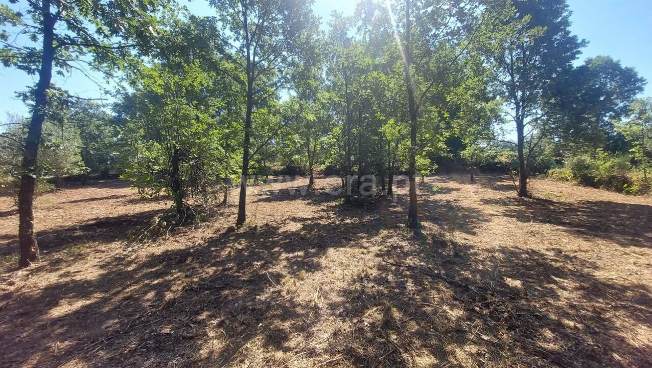 Terreno para Venda em Fundão, Valverde, Donas, A. Joanes, A. Nova Cabo Foto 14