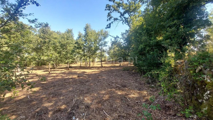 Terreno para Venda em Fundão, Valverde, Donas, A. Joanes, A. Nova Cabo Foto 8