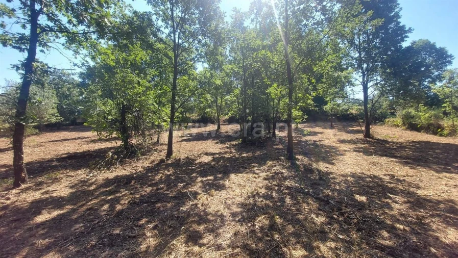 Terreno para Venda em Fundão, Valverde, Donas, A. Joanes, A. Nova Cabo Foto 14