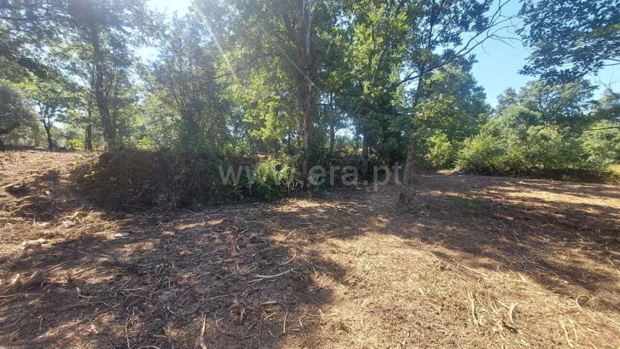 Terreno para Venda em Fundão, Valverde, Donas, A. Joanes, A. Nova Cabo Foto 11