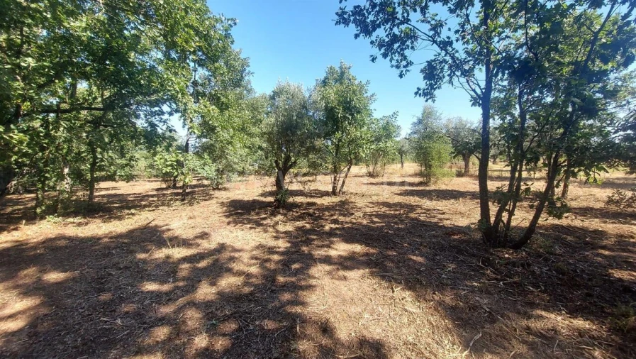 Terreno para Venda em Fundão, Valverde, Donas, A. Joanes, A. Nova Cabo Foto 16