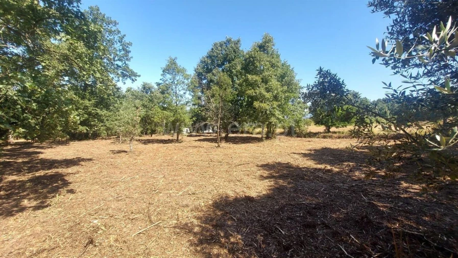 Terreno para Venda em Fundão, Valverde, Donas, A. Joanes, A. Nova Cabo Foto 7