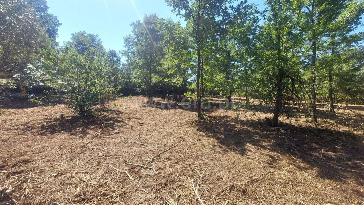 Terreno para Venda em Fundão, Valverde, Donas, A. Joanes, A. Nova Cabo Foto 12