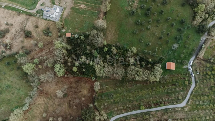 Terreno para Venda em Fundão, Valverde, Donas, A. Joanes, A. Nova Cabo
