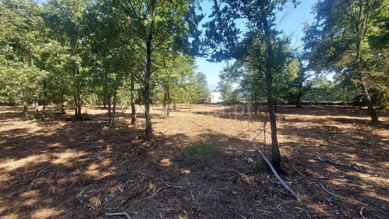 Terreno para Venda em Fundão, Valverde, Donas, A. Joanes, A. Nova Cabo Foto 13