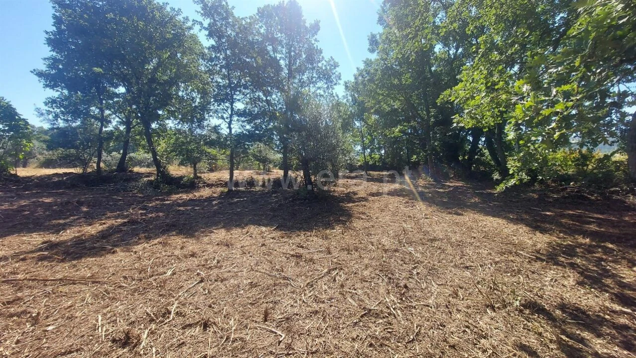 Terreno para Venda em Fundão, Valverde, Donas, A. Joanes, A. Nova Cabo Foto 15