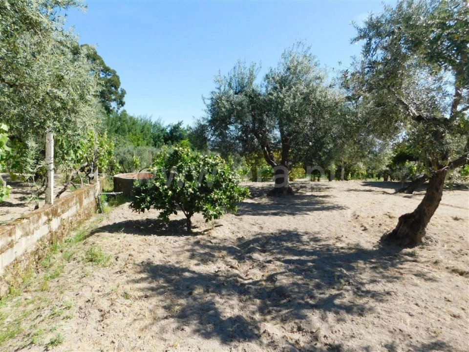 Terreno para Venda em Póvoa de Atalaia e Atalaia do Campo Foto 7