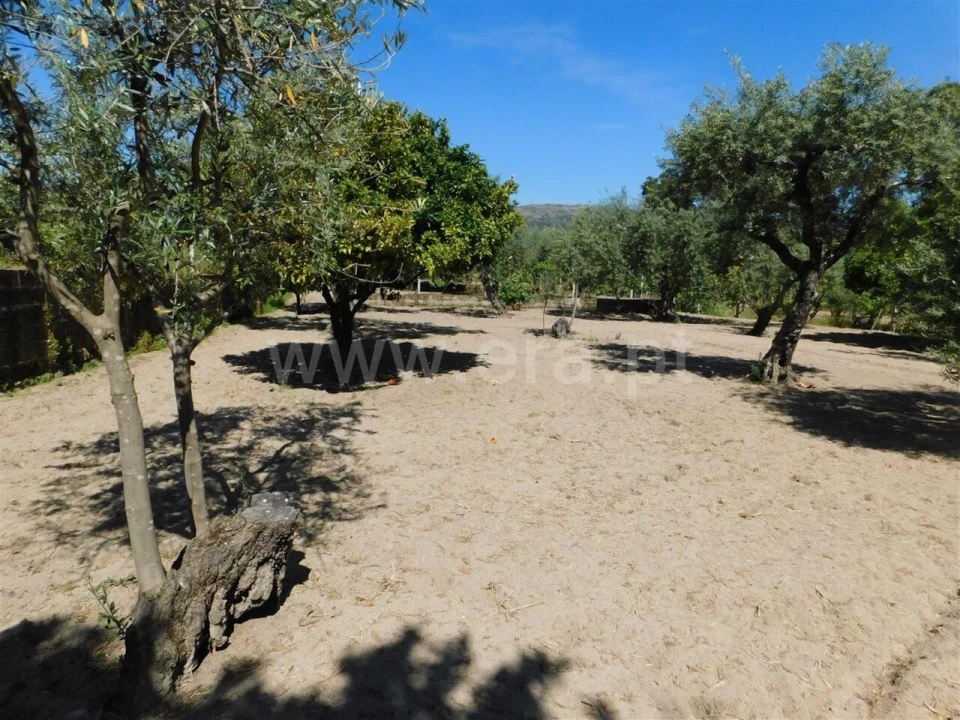 Terreno para Venda em Póvoa de Atalaia e Atalaia do Campo Foto 1