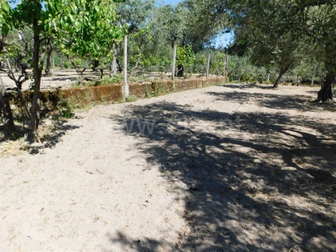 Terreno para Venda em Póvoa de Atalaia e Atalaia do Campo Foto 9