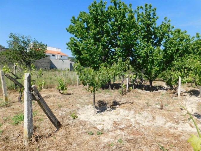 Terreno para Venda em Póvoa de Atalaia e Atalaia do Campo Foto 11