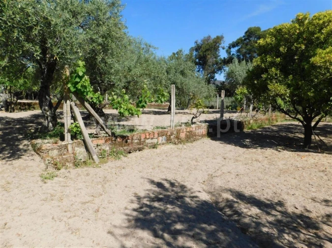 Terreno para Venda em Póvoa de Atalaia e Atalaia do Campo Foto 8