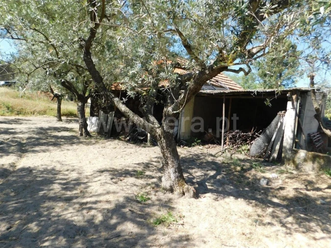 Terreno para Venda em Póvoa de Atalaia e Atalaia do Campo Foto 20