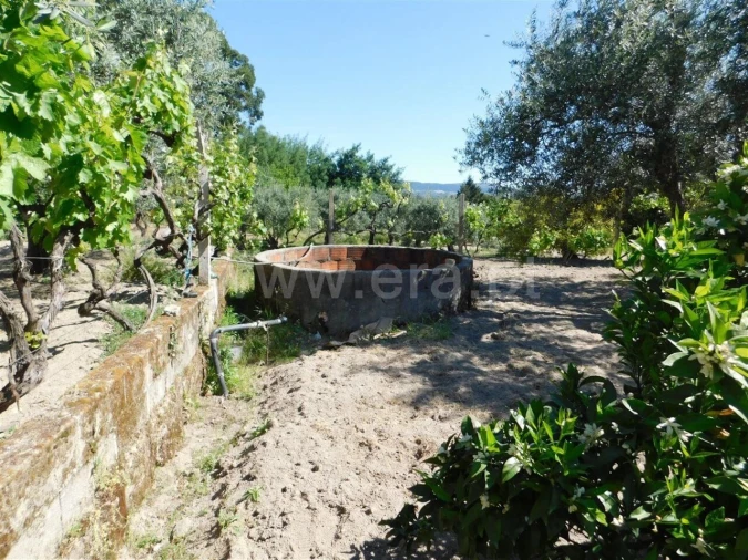 Terreno para Venda em Póvoa de Atalaia e Atalaia do Campo Foto 18